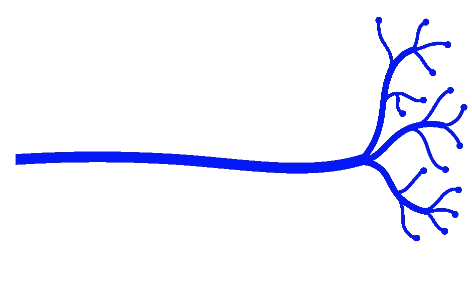 PulpNeuro